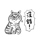 eh！cat！ Black and white illustrations 5（個別スタンプ：24）