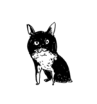 eh！cat！ Black and white illustrations 5（個別スタンプ：35）