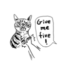 eh！cat！ Black and white illustrations 5（個別スタンプ：37）