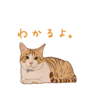 みんなの猫たち（個別スタンプ：3）