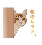 みんなの猫たち（個別スタンプ：15）