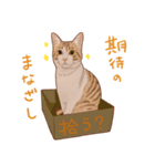 みんなの猫たち（個別スタンプ：17）