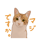 みんなの猫たち（個別スタンプ：27）