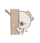 Koala Lifestyle 2（個別スタンプ：37）
