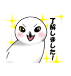 かわいいシロフクロウ（個別スタンプ：7）
