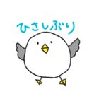 ゆるいうみねこ（個別スタンプ：4）
