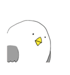 ゆるいうみねこ（個別スタンプ：17）