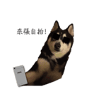 JACOB go（個別スタンプ：3）
