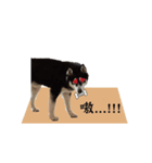 JACOB go（個別スタンプ：10）