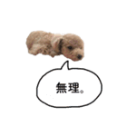 ハンサムモカの日常（個別スタンプ：1）