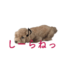 ハンサムモカの日常（個別スタンプ：12）