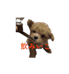 ハンサムモカの日常（個別スタンプ：17）