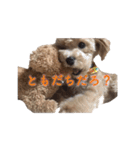ハンサムモカの日常（個別スタンプ：18）