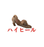 ハンサムモカの日常（個別スタンプ：20）