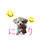 ハンサムモカの日常（個別スタンプ：21）