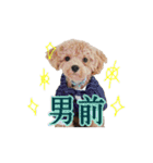 ハンサムモカの日常（個別スタンプ：40）