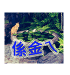 Street Cats(Taiwanese Version)（個別スタンプ：19）