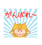 ドラネコ ミーちゃん（個別スタンプ：38）