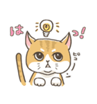 トラねこ1【日常編】（個別スタンプ：2）