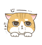 トラねこ1【日常編】（個別スタンプ：3）