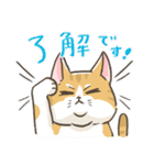 トラねこ1【日常編】（個別スタンプ：4）