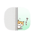 トラねこ1【日常編】（個別スタンプ：5）