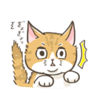 トラねこ1【日常編】（個別スタンプ：8）