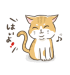 トラねこ1【日常編】（個別スタンプ：11）