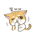 トラねこ1【日常編】（個別スタンプ：17）