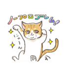 トラねこ1【日常編】（個別スタンプ：19）