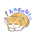 トラねこ1【日常編】（個別スタンプ：20）