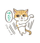 トラねこ1【日常編】（個別スタンプ：21）