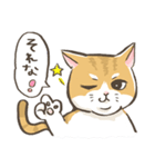 トラねこ1【日常編】（個別スタンプ：23）