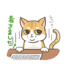 トラねこ1【日常編】（個別スタンプ：26）