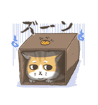 トラねこ1【日常編】（個別スタンプ：32）