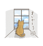 トラねこ1【日常編】（個別スタンプ：35）