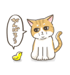 トラねこ1【日常編】（個別スタンプ：37）