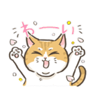 トラねこ1【日常編】（個別スタンプ：38）