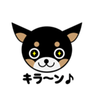 ブラックタンのチワワのひとりごと その2（個別スタンプ：2）