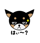 ブラックタンのチワワのひとりごと その2（個別スタンプ：5）