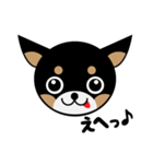 ブラックタンのチワワのひとりごと その2（個別スタンプ：6）
