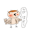 a sparrow（個別スタンプ：2）