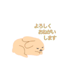 パステルカラーうさぎ(基本編)（個別スタンプ：19）