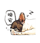 ムール貝 2（個別スタンプ：5）