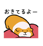 暮らしに寄り添うモルモット2（個別スタンプ：37）