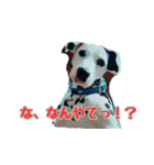 ラブたん（個別スタンプ：9）