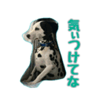 ラブたん（個別スタンプ：18）