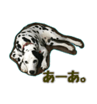 ラブたん（個別スタンプ：19）