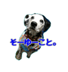 ラブたん（個別スタンプ：34）