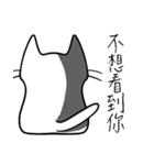 ian cat taking something（個別スタンプ：13）